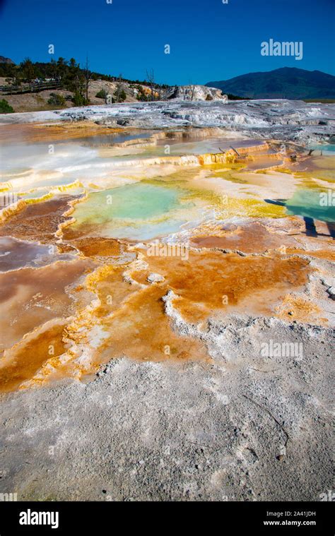 Mineral Deposits Coming From Hot Springs At The Mammoth Area In Yellowstone Stock Photo Alamy