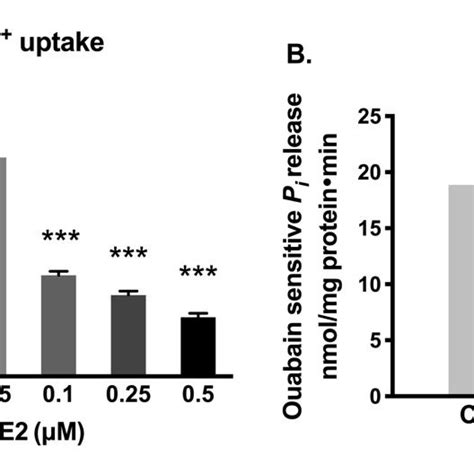 Effect Of Pge M Receptor Inhibitor Ah M On Na K Atpase