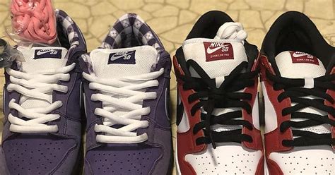 Purple Lobsters And Chicago Dunks Album On Imgur