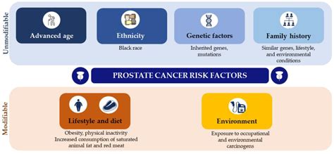 Current Oncology Free Full Text Underlying Features Of Prostate