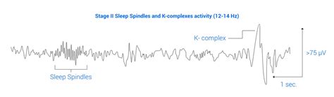 Sleep EEG for Diagnosis and Research | Bitbrain