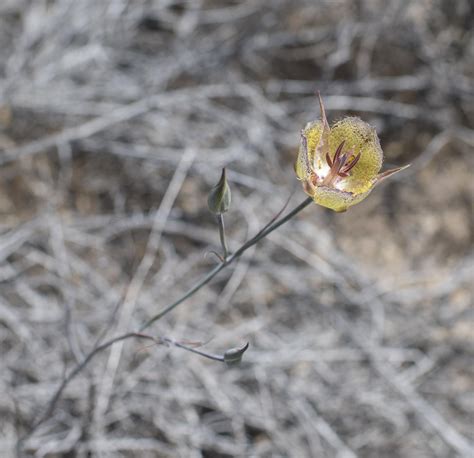 Best Mariposa Images On Pholder Pan Porn Star V Sthe Forcesof Evil And Earth Porn