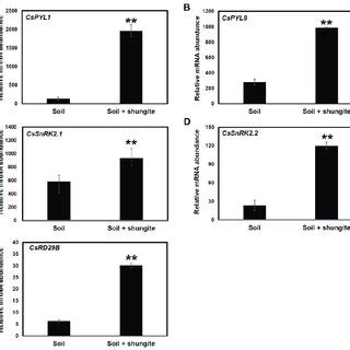 Expression Profiling Of Cucumber ABA Signaling Genes In Response To