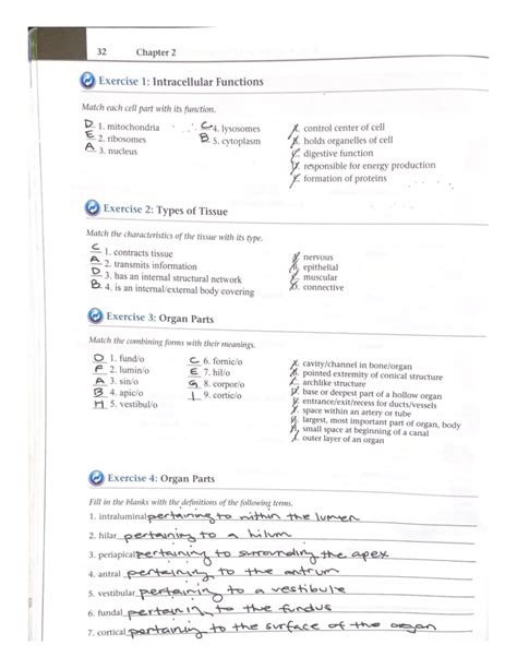 Chapter 2 Medical Terminology Exercise 1 16 NRS 120 Studocu