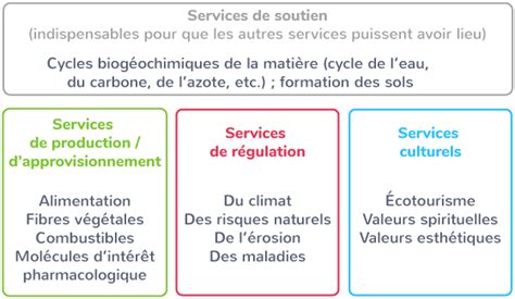 Lhumanité Et Les écosystèmes Les Services écosystémiques Et Leur