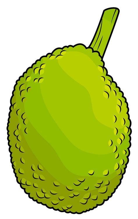 Breadfruit Png Isolated Hd Png Mart