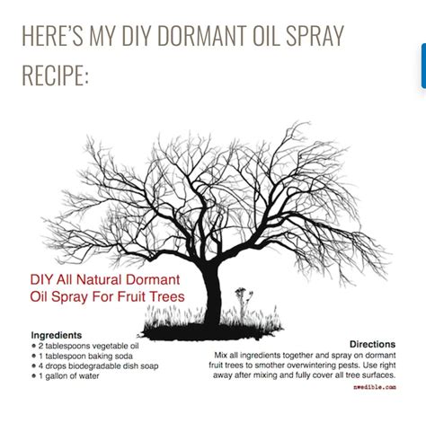 Nwedible Dormant Oil Spray Recipe Fruit Trees Spray Overwintering