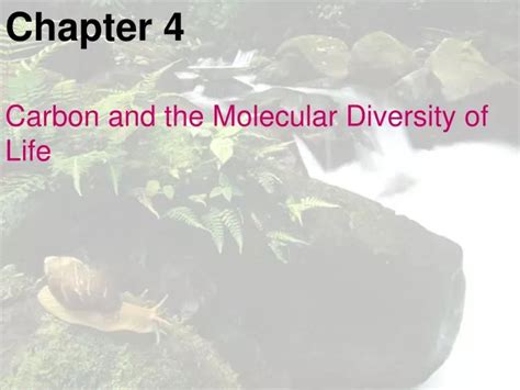 Ppt Chapter 4 Carbon And The Molecular Diversity Of Life Powerpoint