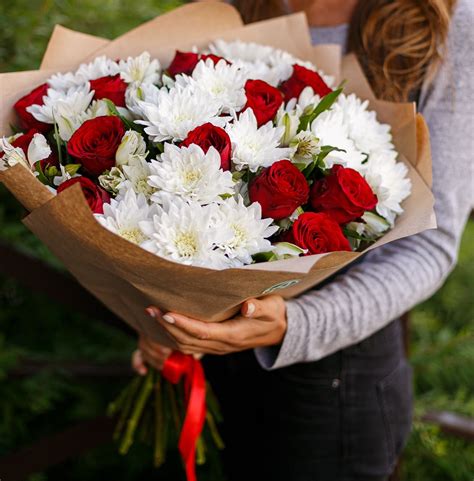 Роза Осирия Фото — Картинки фотографии