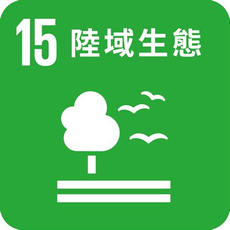 世界綠色大學排名大躍進！中華大學推動永續發展 宣示2040達成碳中和目標