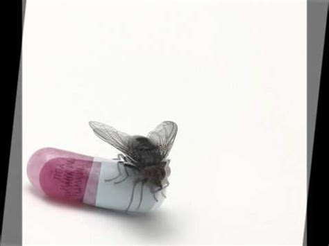 Red Hot Chili Peppers Even You Brutus Guitar Pro Tab Ver Tablatura Online O Descargar Gratis