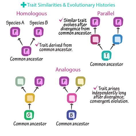 General Biology Glossary Speciation Ditki Medical Biological Sciences