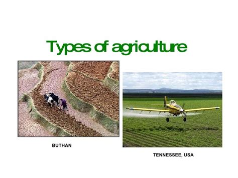 Types of Agriculture