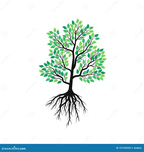 Tree Vector Illustration With Roots And Green Leaves Stock Vector