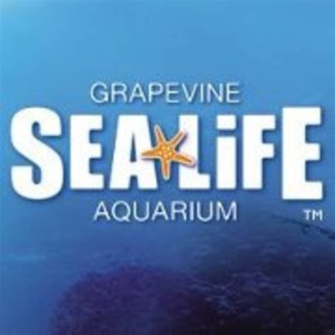 Sea Life Aquarium First Anniversary Celebration - Today's Mama