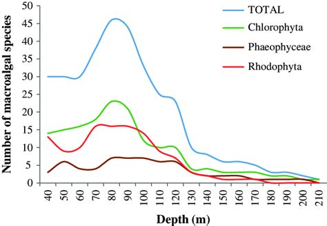 3 Total Number Of Macroalgal Species From The Main Hawaiian Islands