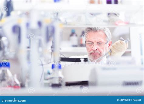 Life Scientist Researching In The Laboratory Stock Photo Image Of