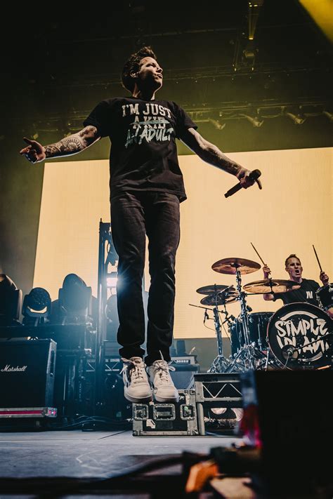 simple plan and offspring adelaide 7