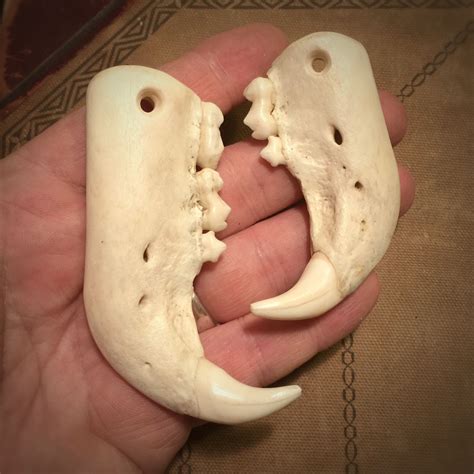 Carved A Black Bear Jaw Bone Pendants Made By And Collection Of