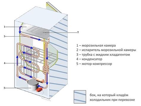 Можно ли перевозить холодильник лежа на боку: как правильно это делать ...