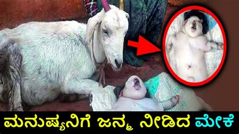 Goat Gives Birth To Human