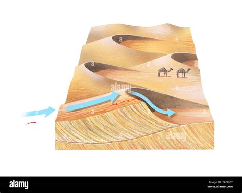 Desert sand dunes. Block diagram of the mechanics of desert sand dune ...