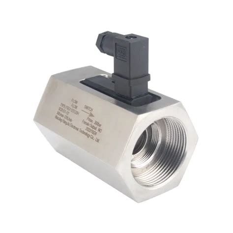 Cheap Flow Switch Water Flow Switch Fs Flow Switch Hexagon Flow