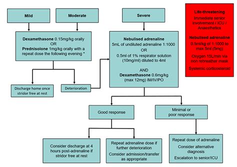 Clinical Practice Guidelines Croup Laryngotracheobronchitis