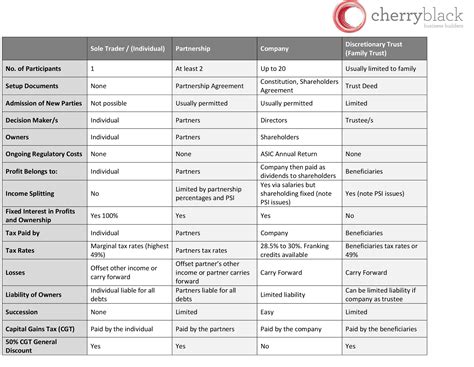 Summary of Business Structures — Cherry Black