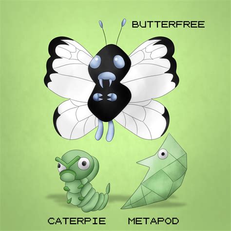 Caterpie Evolution Line By Marcosvargas On Deviantart