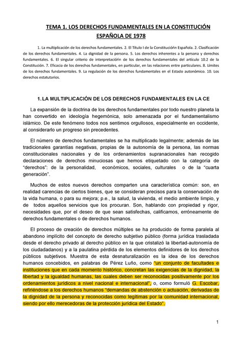 Tema 1 Constitucional Derechos Fundamentales Tema 1 Los Derechos Fundamentales En La