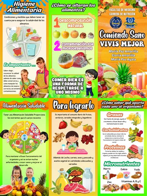 Tríptico Pdf Pdf Alimentos Nutrición