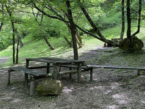 Aree Picnic In Campania Tra Boschi E Parchi Ecco Dove Andare