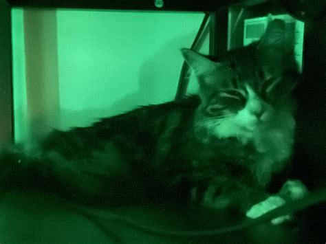 update on my baby, it’s currently 4 am I got up out of my sleep but I