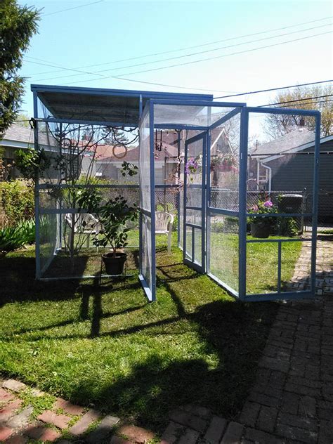 outdoor aviary wpictures talk cockatiels forum