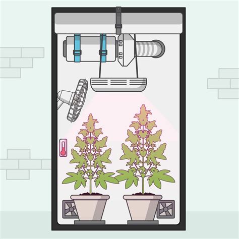 Best Way To Grow Weed Indoors (KISS: Keep It Simple, Stupid) - Grow