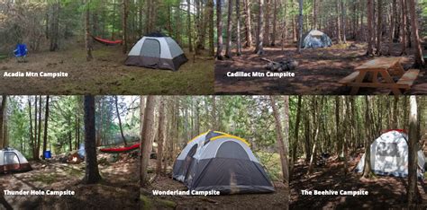 Camping in Acadia National Park » Live Camp Work