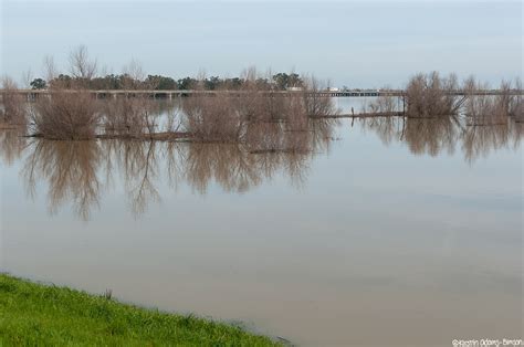 Yolo Bypass Flooding 2024 Ettie Janetta