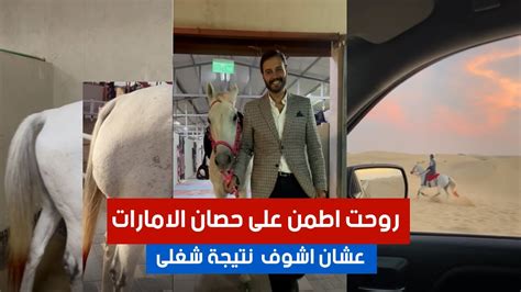 روحت اطمن على حصان الامارات و اشوف نتيجة شغلى ٦٠شومعالدكتورحاتم