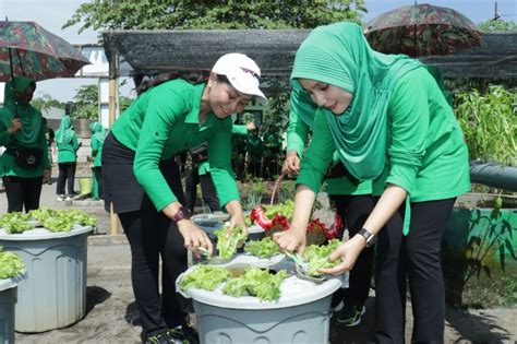 Ibu Ketua Persit KCK XXII Brigif 9 Kostrad Kunjungi Yonif Raider 509