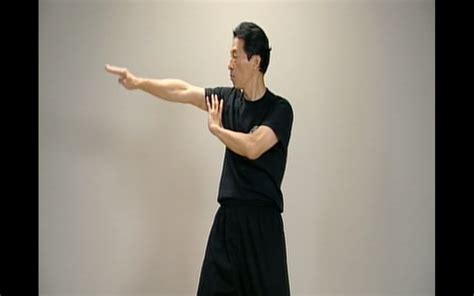 Mastering Serie Combo 2 – 6 Wing Chun Forms – Samuel Kwok Online