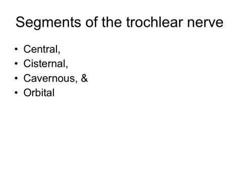 Trochlear nerve