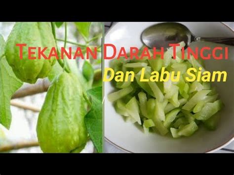 Labu Siam Jipang Chayote Khasiat Mengagumkan Menurunkan Tekanan