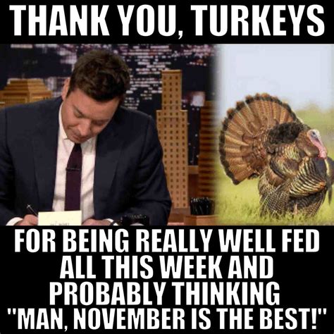 Funny Turkey Memes For Thanksgiving 2024