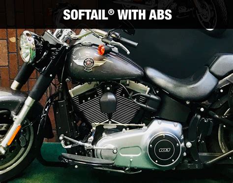 Softail 1985 2017 3 0 Dual Fan Assisted Side Mount On Down Tube