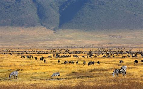 Days Ngorongoro Serengeti Zanzibar