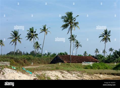 Benaulim Beach, South Goa, India Stock Photo - Alamy