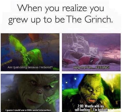 40 Grinch Memes Because We Are All Closer to the Grinch Than Santa