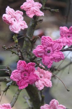 43 ideeën over Haken van bloemen planten haken haakpatroon