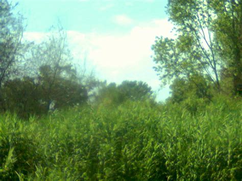 PICTURES GAY BIG DICK CALINESCU MARIUS Glgb Optimuspretium Netdna Cdn Wp Content